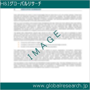 グローバルリサーチ調査レポートのイメージ